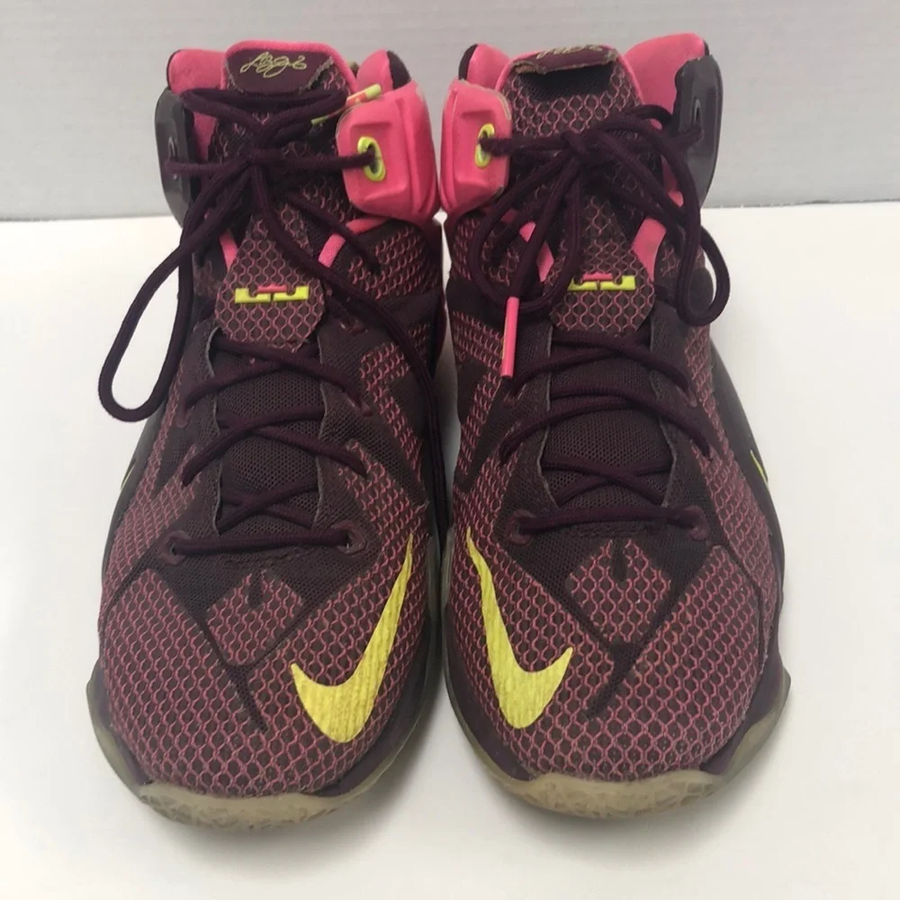 Nike LeBron James sneakers